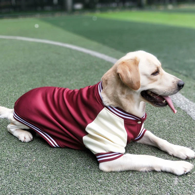 Baseball jersey, pet clothing, large dog golden fur, Labrador, large dog clothing, autumn and winter clothing, thick styles