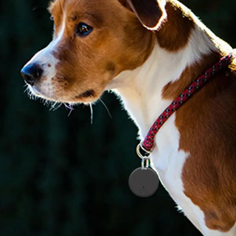 Dispositivo di localizzazione anti-smarrimento Localizzatore di localizzazione intelligente per animali domestici Dispositivo di promemoria anti-smarrimento portatile per animali domestici Borse per bambini Anziani