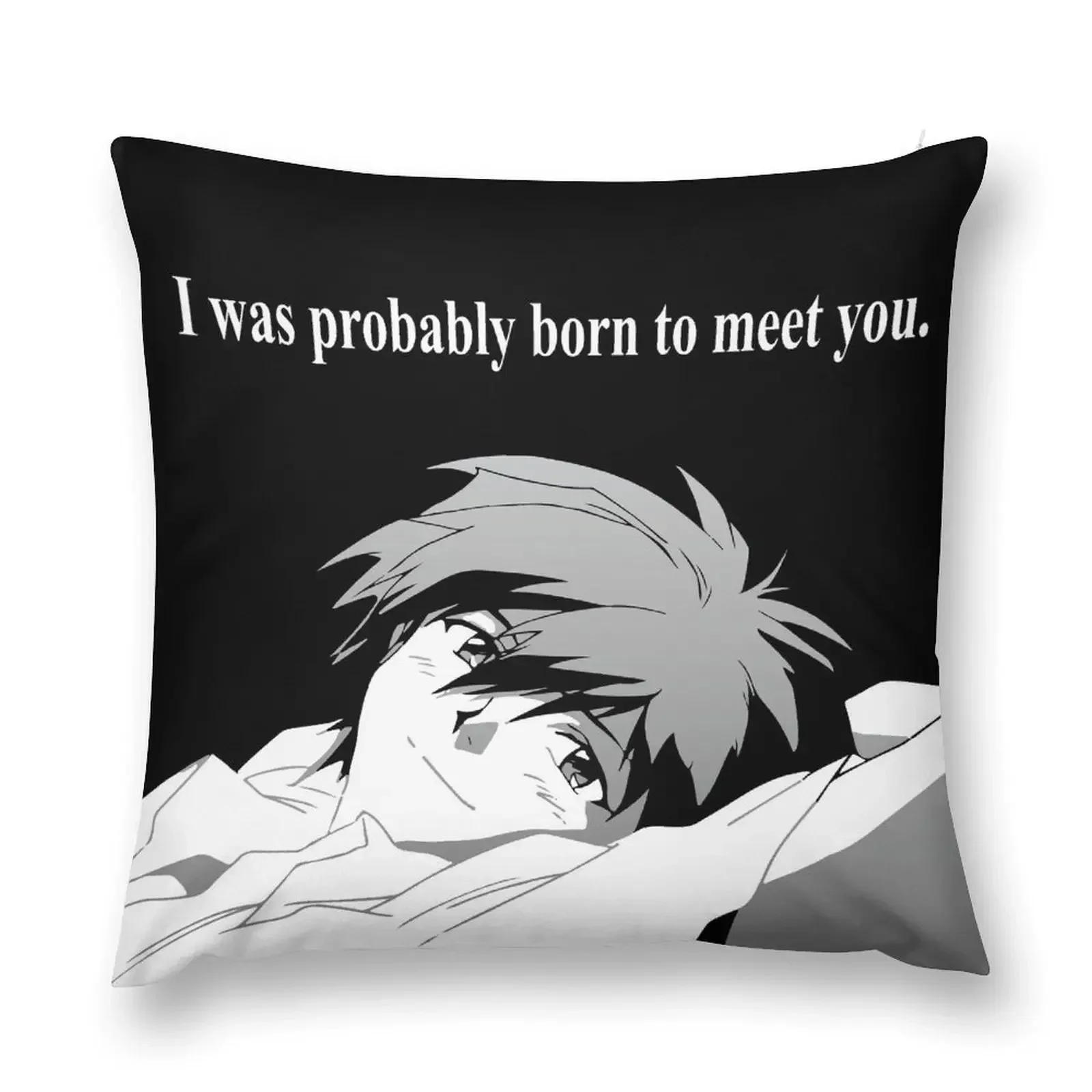 i was probably born to meet you Throw Pillow Decorative Sofa Cushions Decorative Cushions pillow