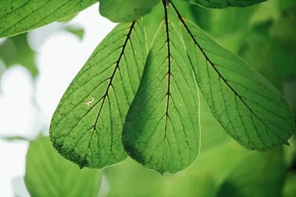 

Newest Water Cup Sport Water Bottle With Time Scale Couple Plastic Portable Anti-drop Outdoor Water Bottle Bar Accessories