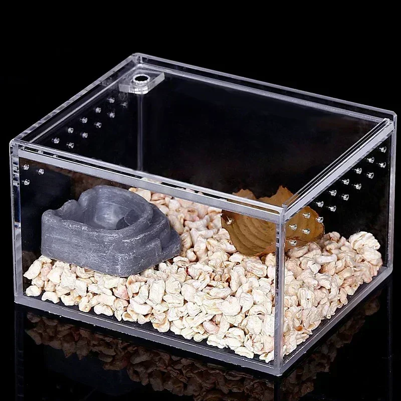 Transparent Acrylic Reptiles Breeding Box Spider Lizard Amphibian Terrarium Leak-proof Pet Habitat Arboreal Tarantula Enclosure