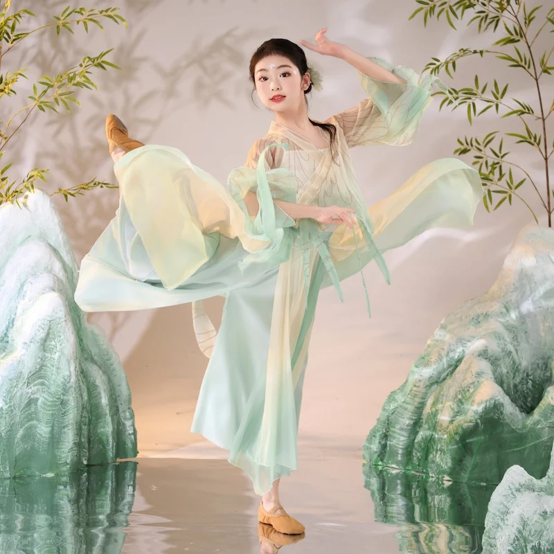 بدلة فراشة رقص كلاسيكية جديدة أنيقة للنساء مع قافية الجسم للتغيير التدريجي للممارسة #4