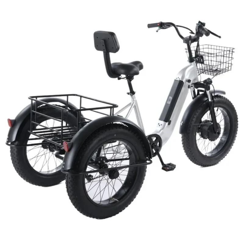 Electric Tricycle 500W48V20AH Lithium Battery Ebike Elderly People Snow Electric Bike For Commuting Outing 20*4.0Inch Fat Tire