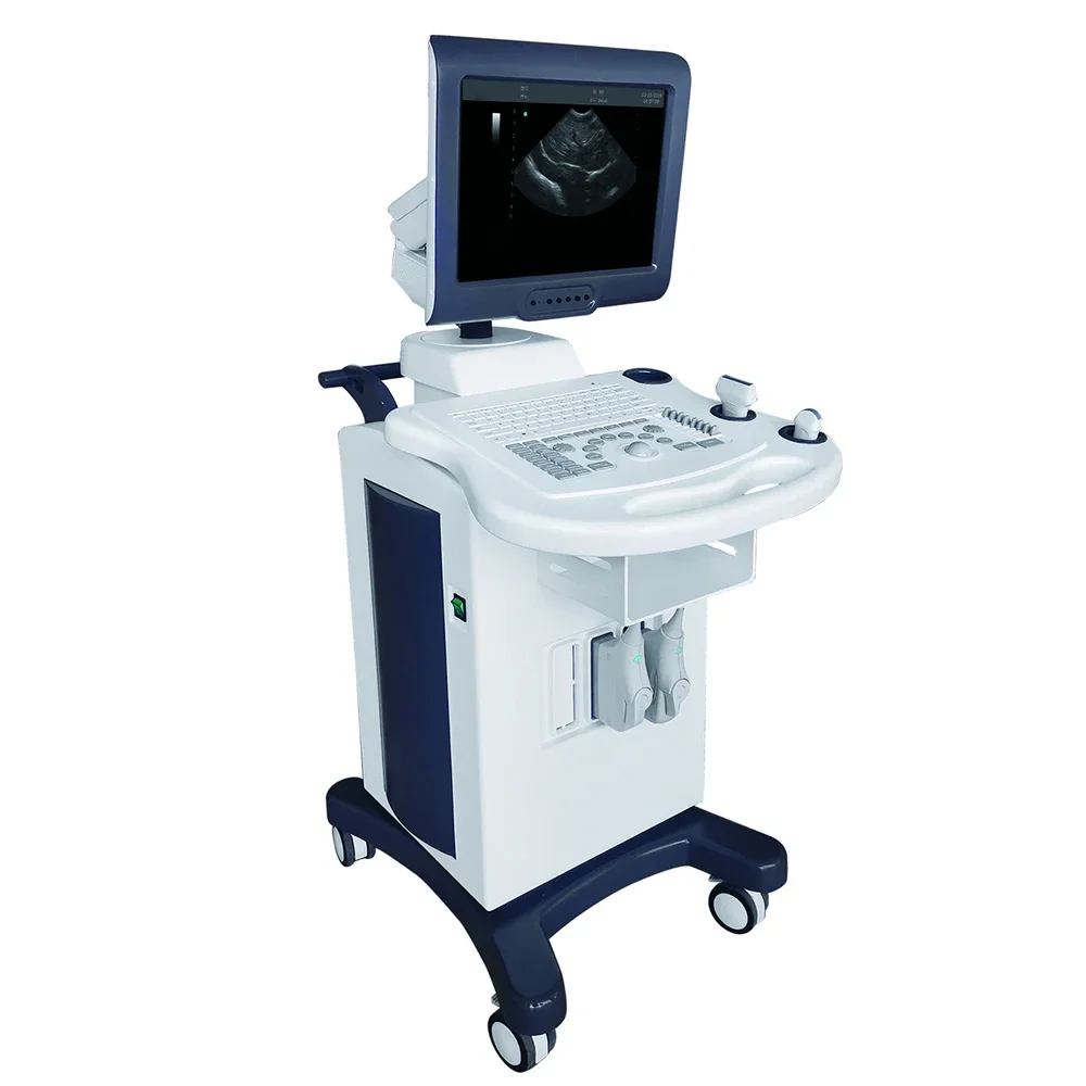 

Medical Factory Supplies portable 4d ultrasound for Medical diagnostic imaging center using