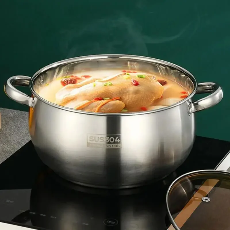 Stainless Steel Dutch Oven and Glass Lid, 5 Quart Pots for Cooking  Hot Pot Casserole