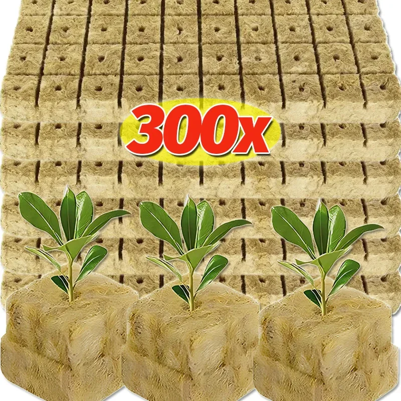 50/300 pçs pedra hidropônica crescer mídia cubo planta substrato sem solo semente pedra lã plug mudas bloco jardim fornecimento