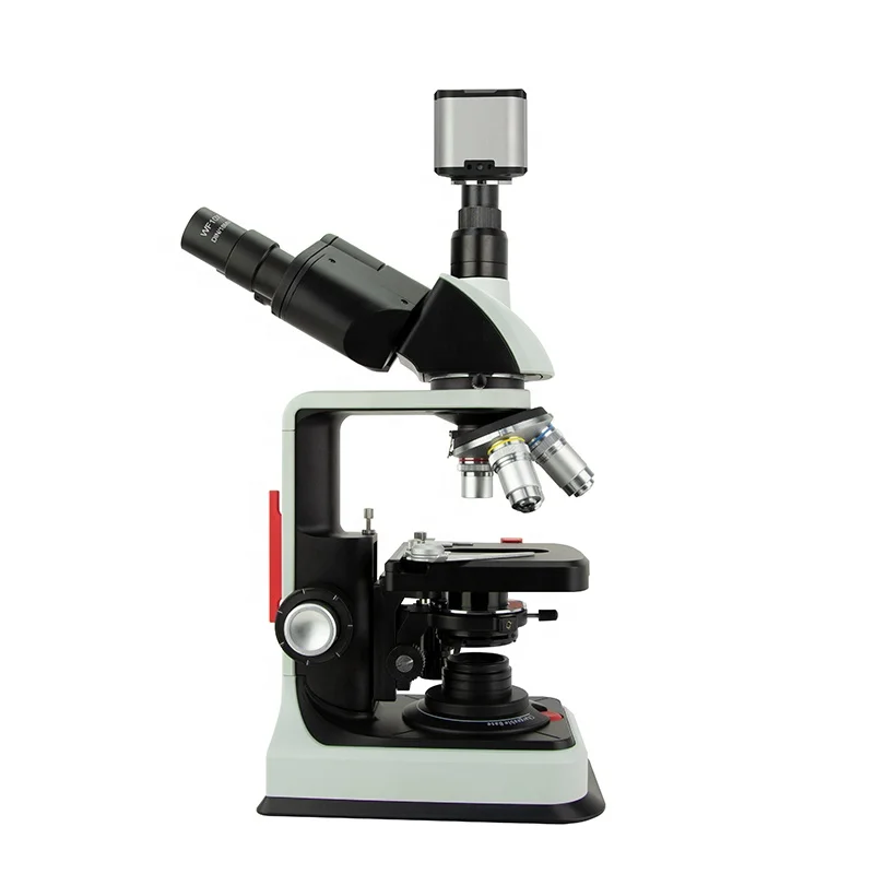 Real 4K Resolution Camera Digital Microscope Biological Microscope Biological For School Lab Research Study