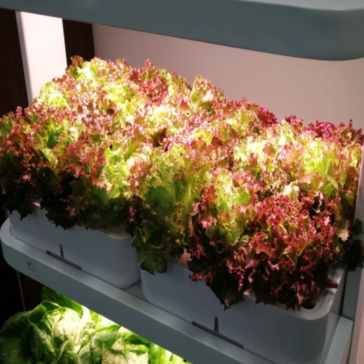 الرف تنمو مصباح مجموعات الزراعة المائية آلة زراعة الزراعة العمودية الذكية مزرعة Aquaponics المغذيات النباتات العمودية #3