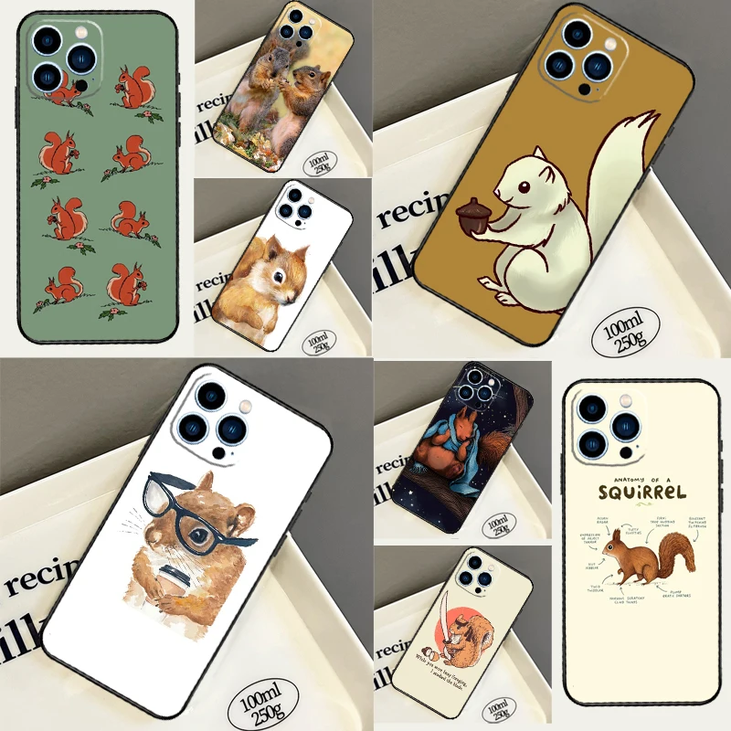 Cute Animal Squirre… - image