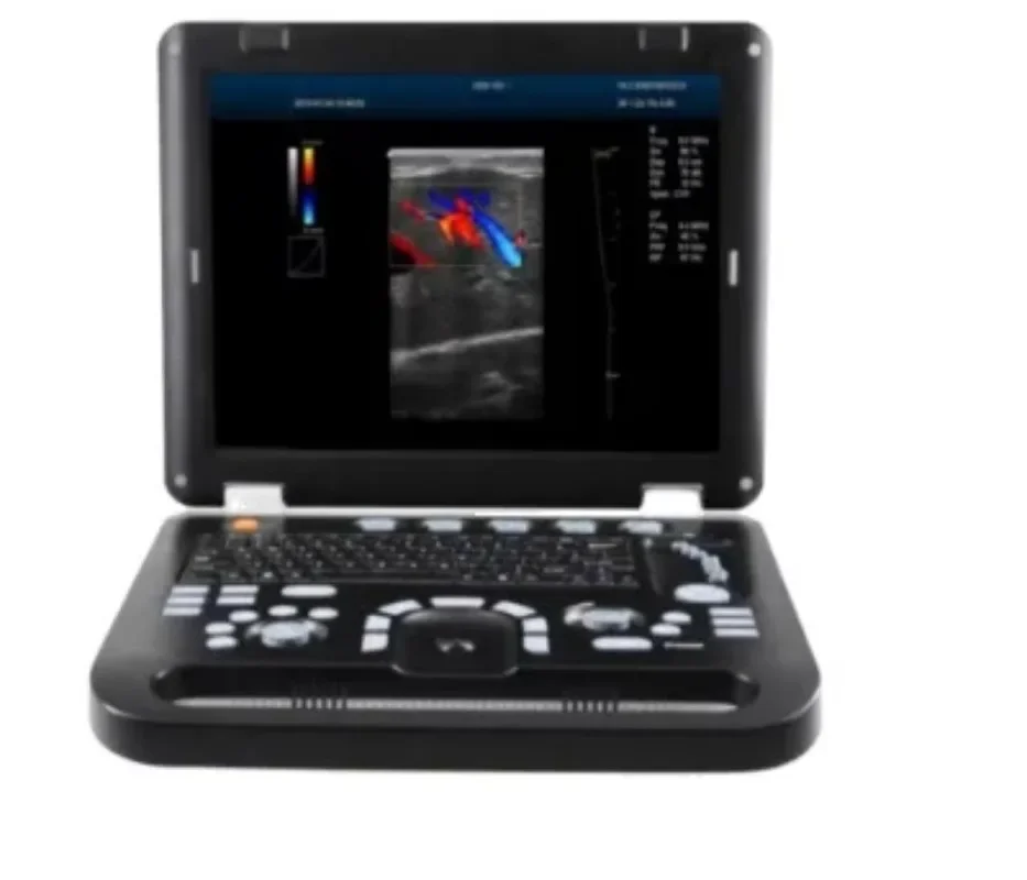 Cheap Laptop 3D Color Doppler System Ultrasound Machine For Veterinary Scanner Animals