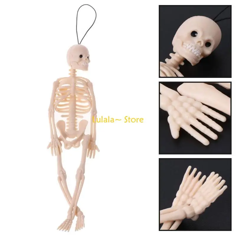 

Y4QA 7.87x1.77in Decorative Study Figurine Home Library Decoration Horror Halloween Skeleton Decor for Key Accessories