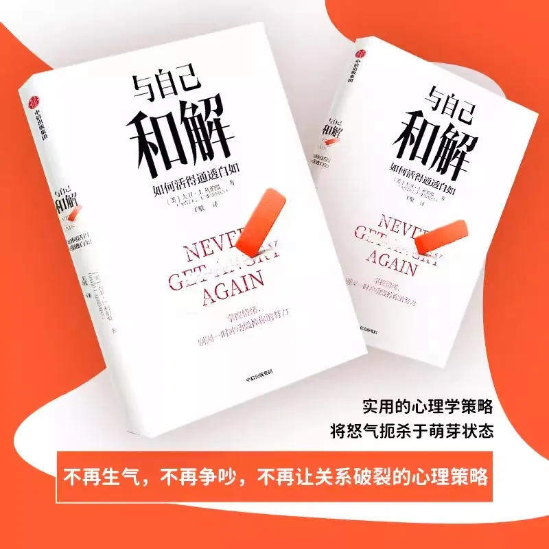 Never Get Angry Again How To Reconcile With Oneself and Live Freely and Transparently Improve Delay Satisfaction Capability