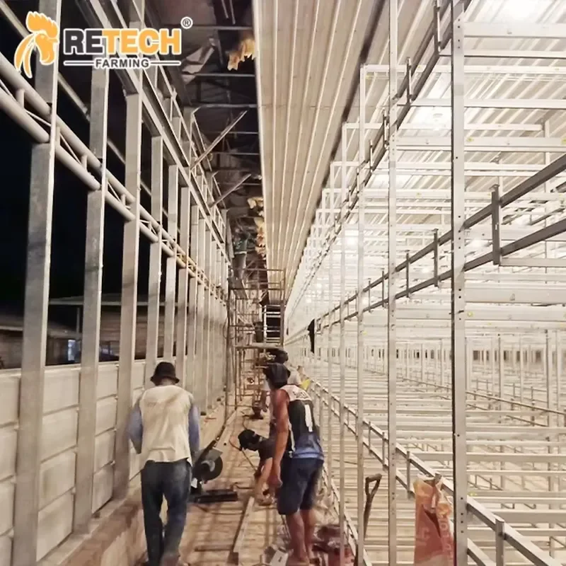 

Broiler Floor Raising System for Chicken Houses with Manure Cleaning System for Battery Cage Equipment