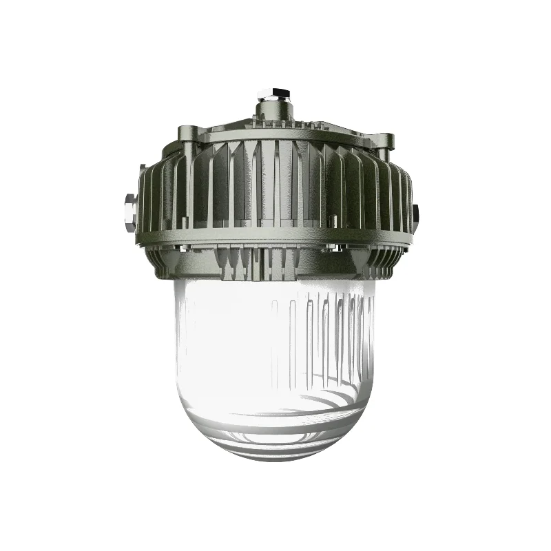 

10W 20w 30w 40w IP66 Outdoor Platform Explosion-proof Light