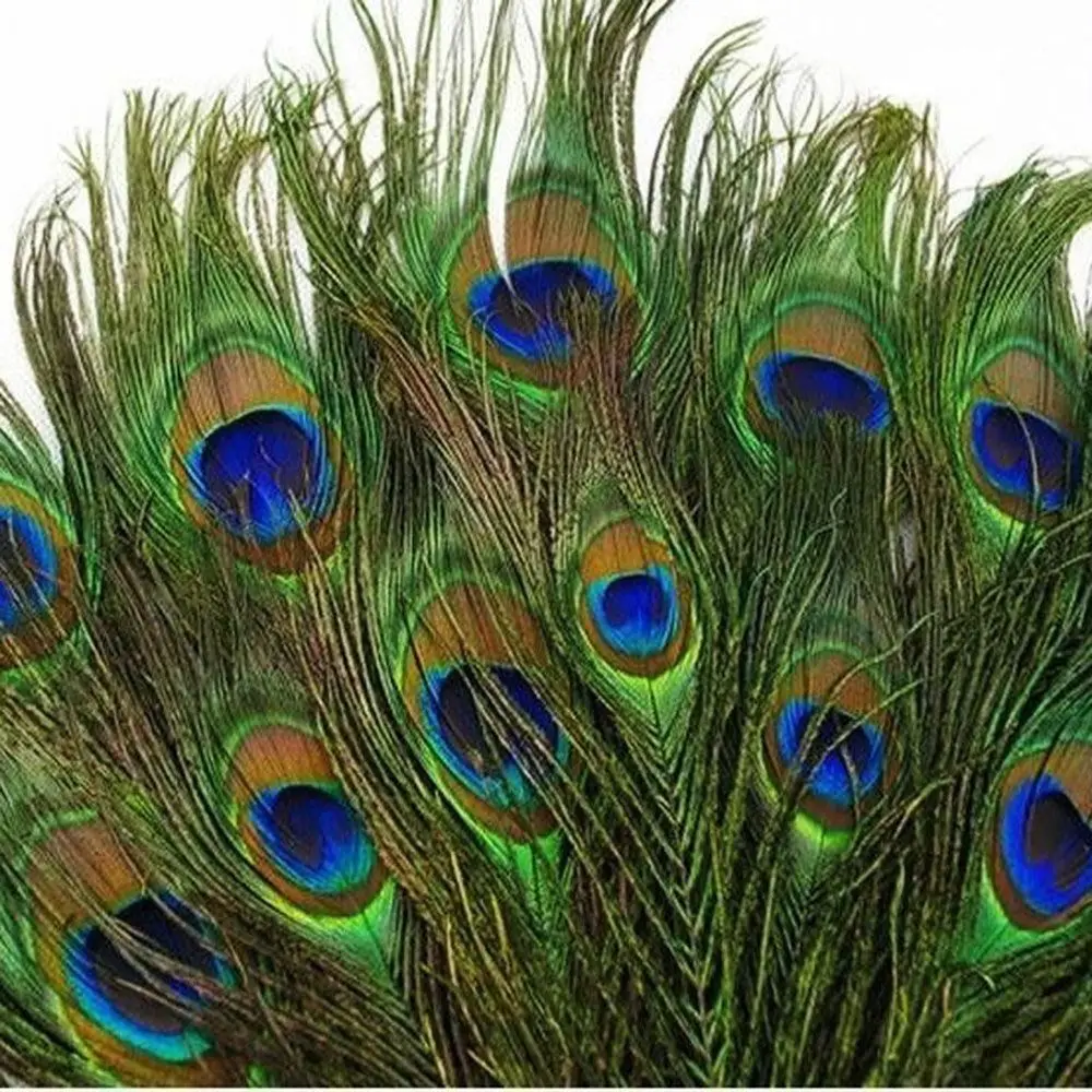 Decoration for Bouquet Wedding Parties Clothes Decals Peacock Eye Feathers Tail DIY Party Decor Natural Plume Artwork Ornaments