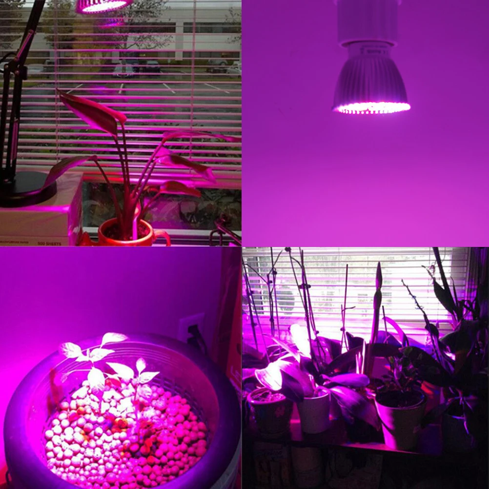 

Led Plant Growth Lamp Full Spectrum 90% Absorption Energy Saving 50000H Indoor Grow Light E14 Professional Lamp