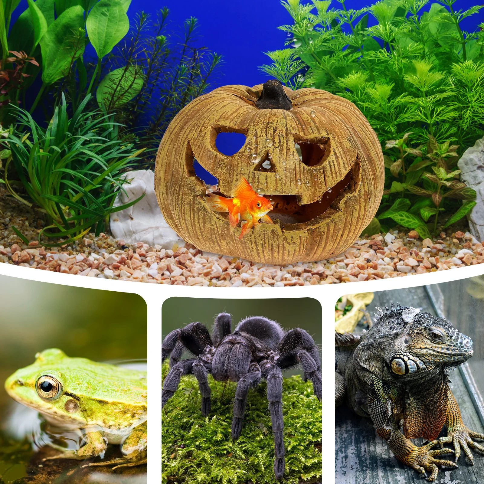 

Pumpkin Hideaway Cave for Reptile Terrarium Decoration Resin Shelter Aquarium L scape Practical Hiding Place nament Turtle Ramp