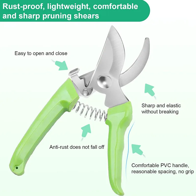 Ensemble de ciseaux de jardin, outils de jardinage, coupe, fleuriste, épine florale, rose, branche, haie et fruits, déterminer, sécateur, 2 pièces