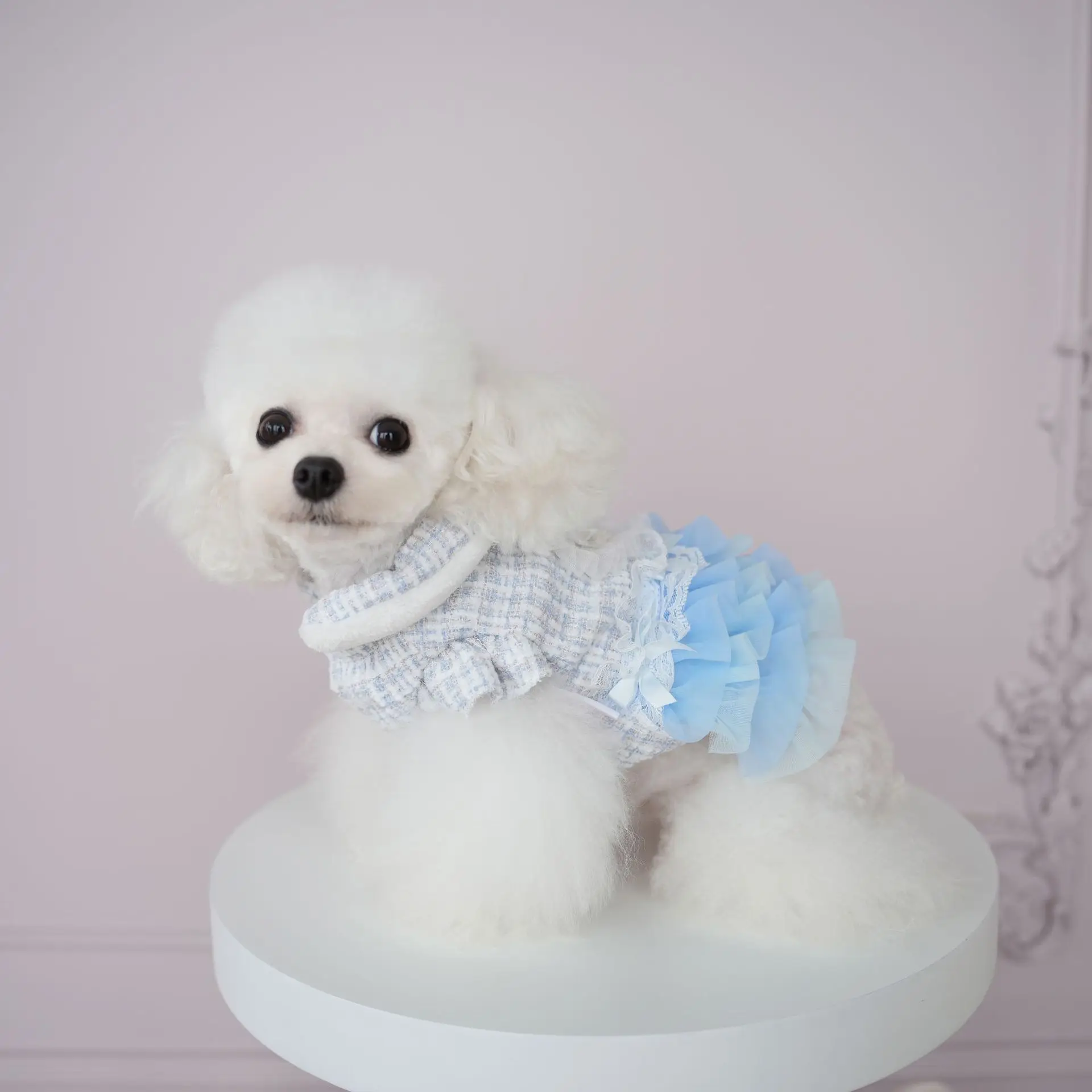 Winter New Dog Clothing Plaid Lace Love Thickened Fleece Skirt Multi-layer Gauze Skirt Cotton Clothing Can Lead Dog Clothes