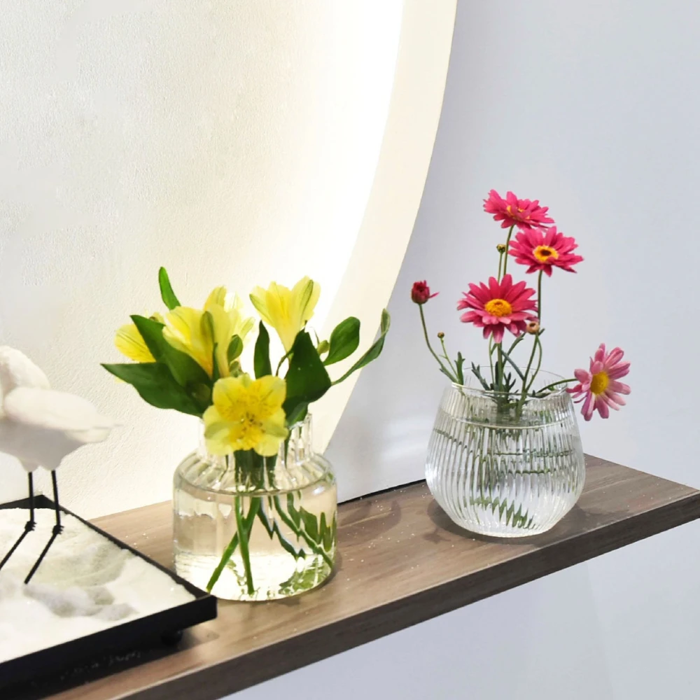 Modern Glass Vase Hydroponic Planter for Home Office Decor Indoor Propagation Station for Plants Flower Desktop Flower Vase Gift