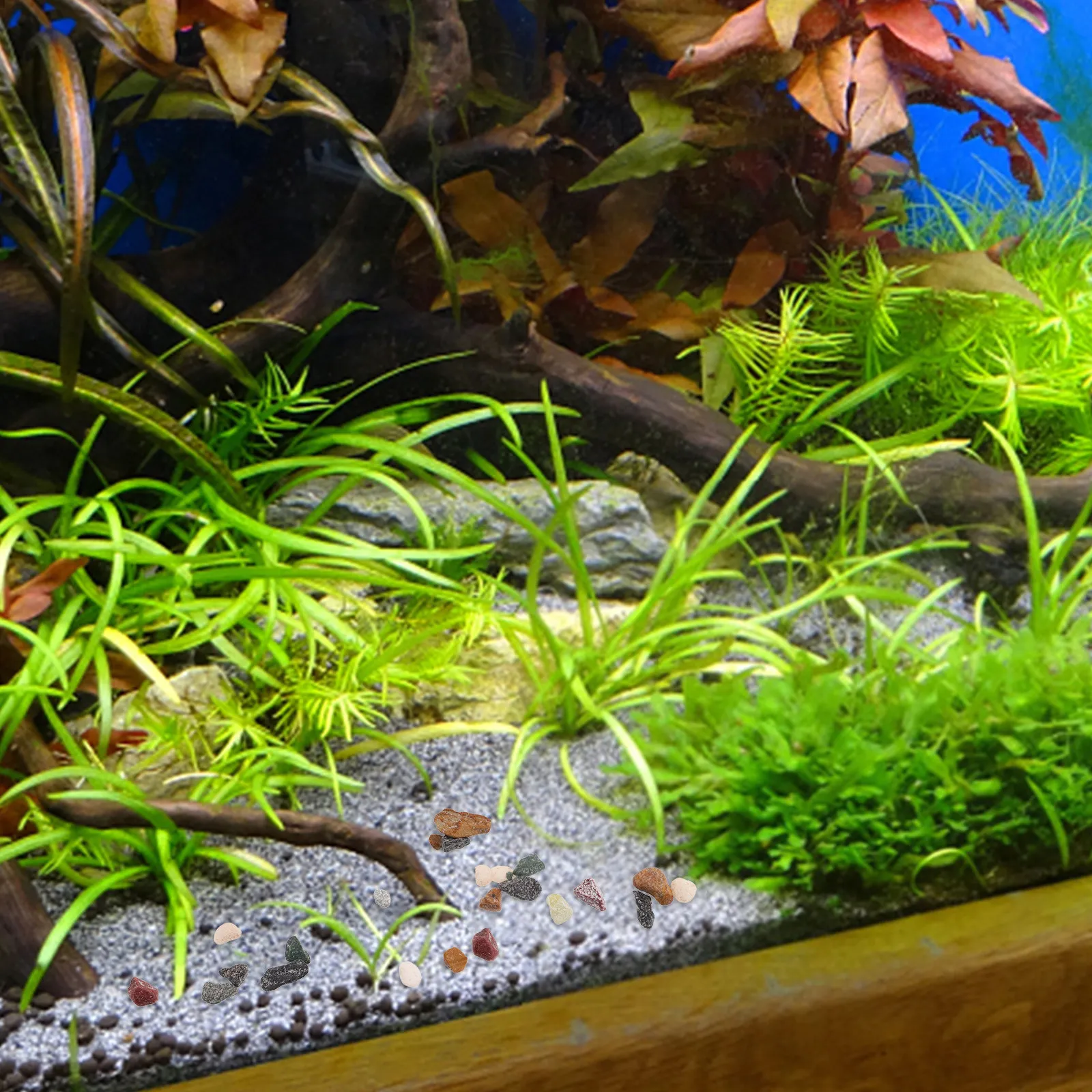 Aquarium Gravel Natural Stream - огляд і ціна Planted Aquarium With Gravel