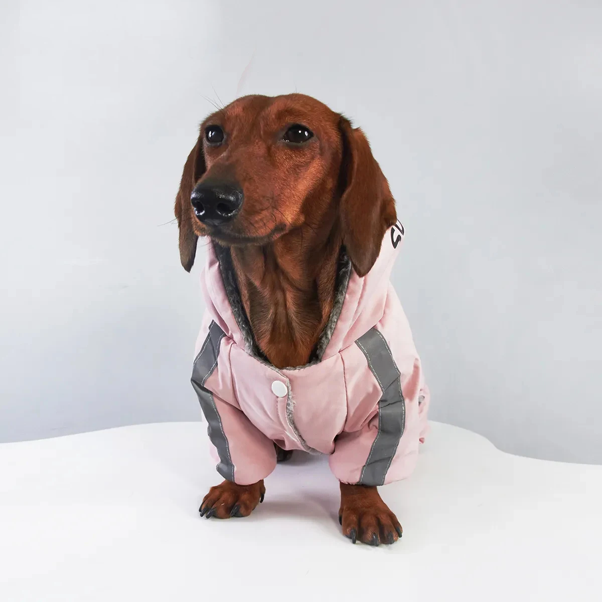 Reflecterende jas met vier poten voor windhonden, sweatshirt voor Wienerhonden, modieuze jas voor windhonden voor de herfst en winter.