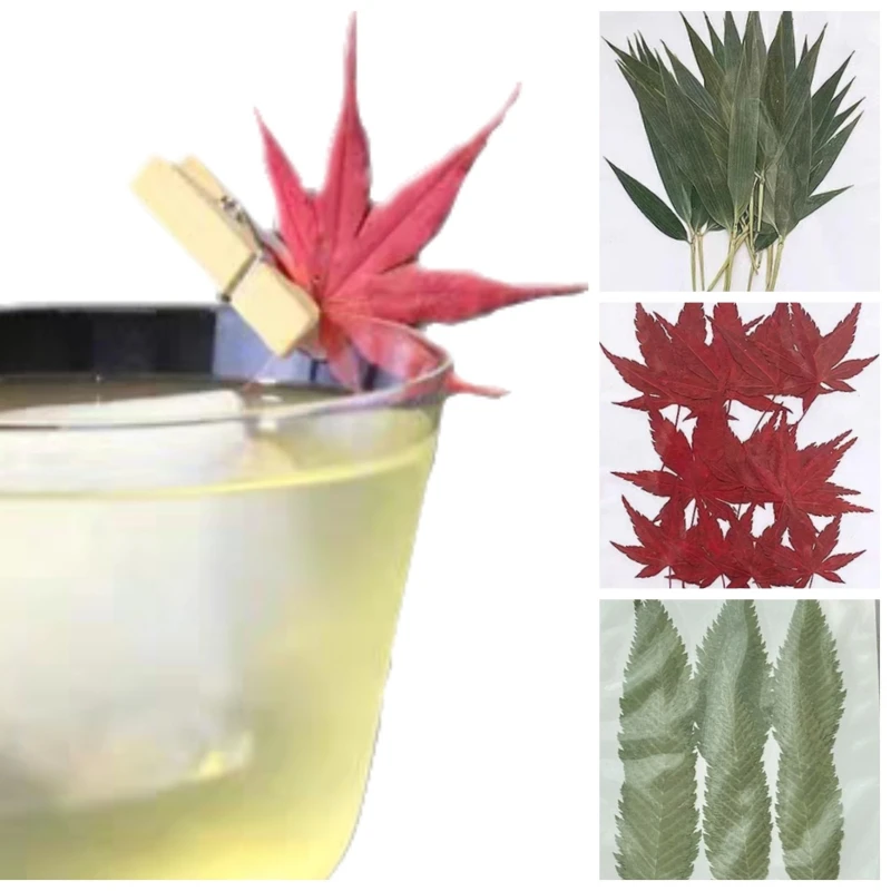 

Natural Real Dried Leaves 12pcs Maple Leaf\Willow Leaf\Bamboo leaf for Christmas Making Cocktail Set