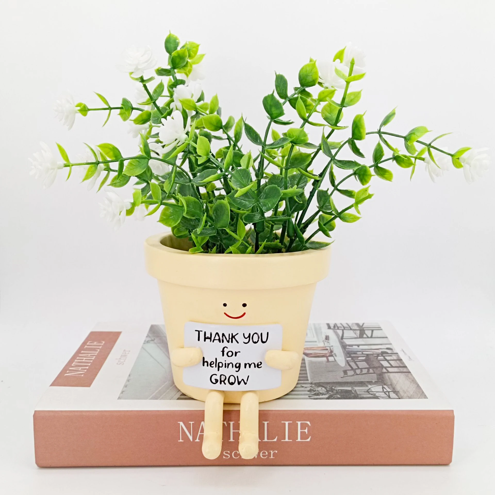 

Mini Thank You Planter Pot Smile Emote for Succulents Desk Decoration Home Office Use