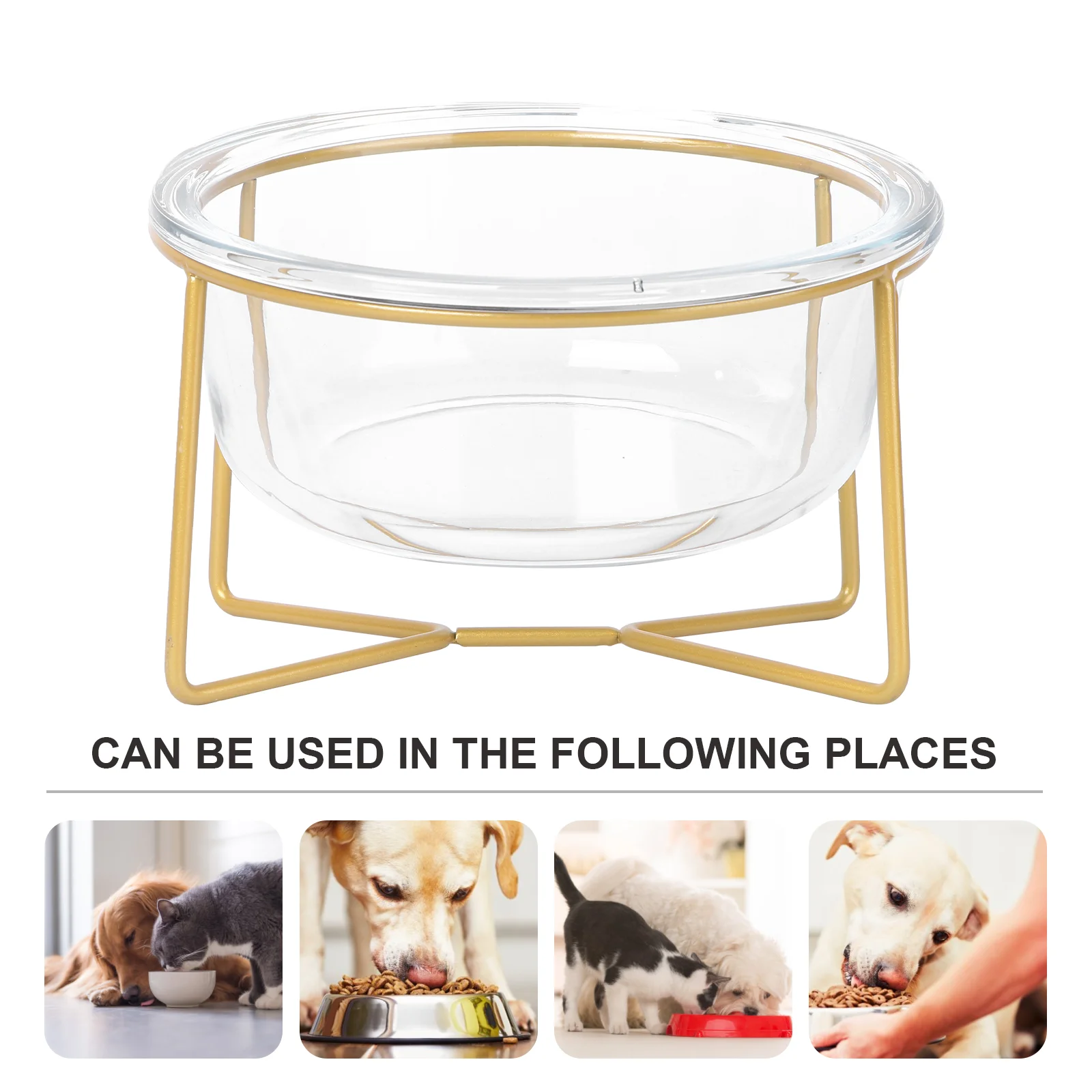 

Glass Pet Bowl Dog Food Container Supply Feeder High Base Feeding Oblique Cat Bowls