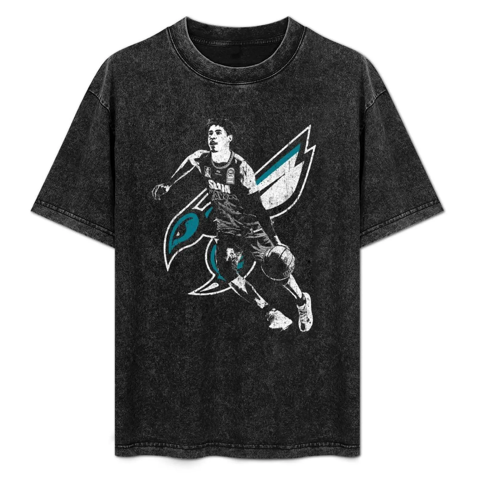 

Lamelo Ball T-Shirt Aesthetic clothing man t shirt oversized graphic tee summer clothes fruit of the loom mens t shirts