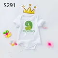 S291-SRPWH-