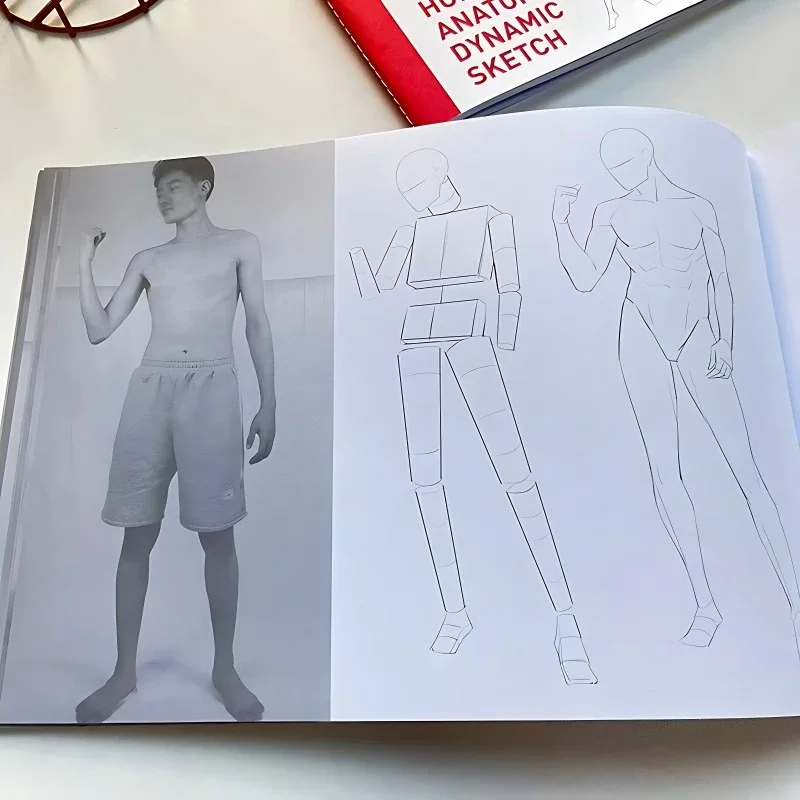 Human Body Dynamic Structure Hand-painted Tutorial Book Sketch Tracing Book Dynamic Anatomy Comic Character Painting Tutorial