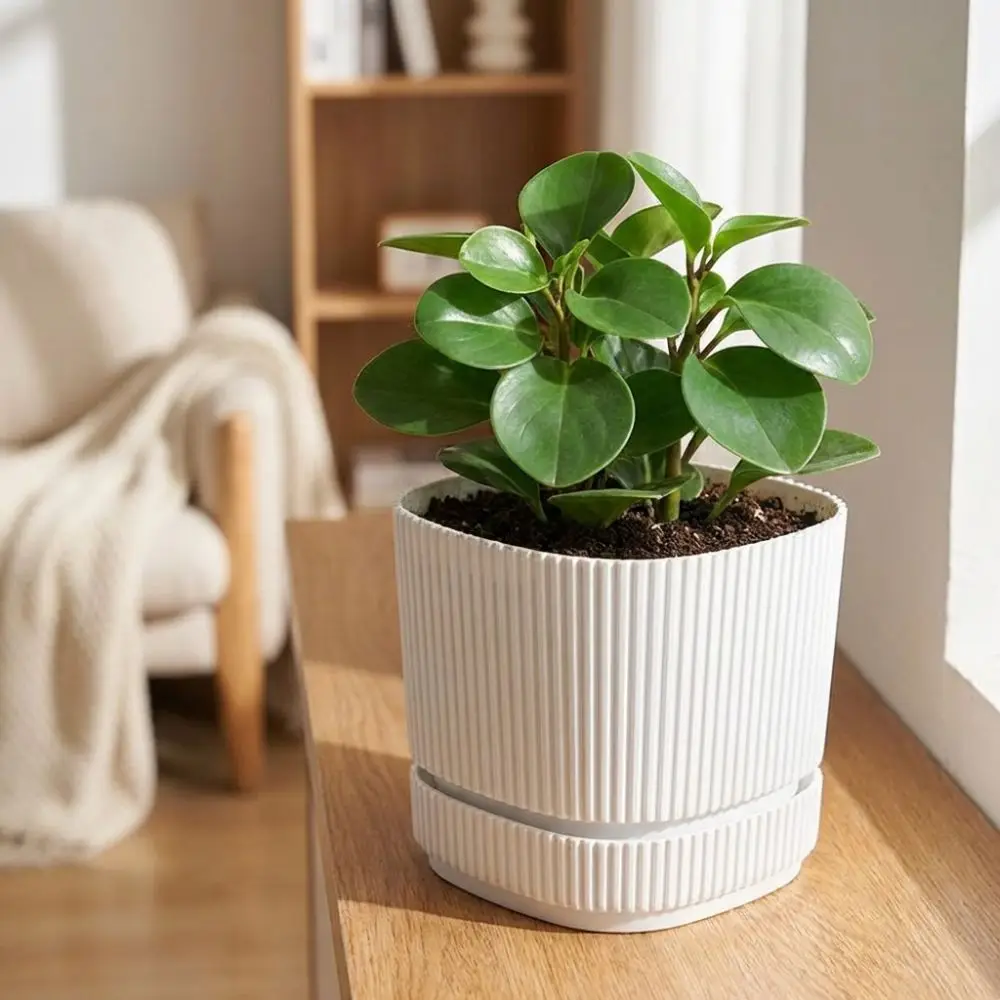 Double Layer Self Watering Flower Pot Plastic Desktop Vase Lazy Plant Pot Thickened with Drainage