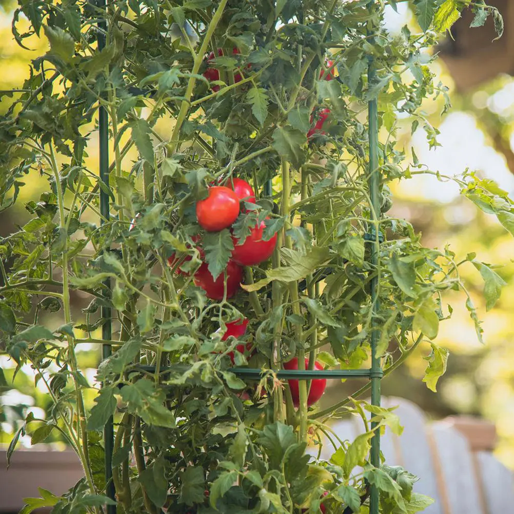 12Pcs Deformable Tomato Trellis Supports Plastic Coated Adjustable Plant Cages for Tomatoes Vines Peppers Beans Efficient Garden