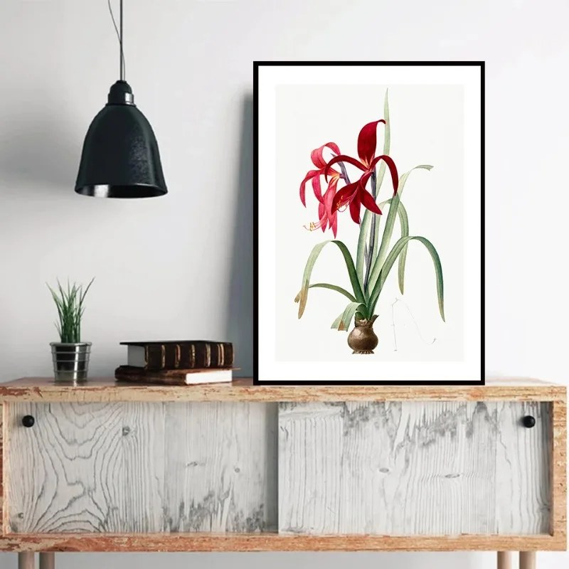 Vintage Flower Botanical Illustration Egyptian Lotus Californian Lilac Tulip Sunflower Nature Plant Canvas Art Home Decor Gift