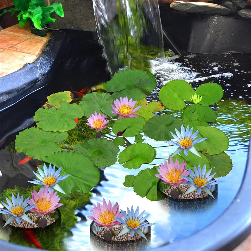 A72P 4 قطع أكياس شبكية للزراعة المائية قابلة للتنفس وقابلة لإعادة الاستخدام، أوعية زنبق مربعة لحدائق المياه #2