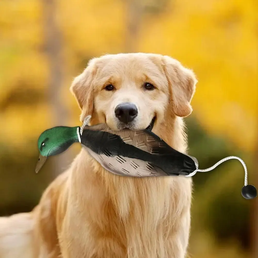 Thumbnail 3 - #29 Dog Fetch Toys Price Drop Alerts