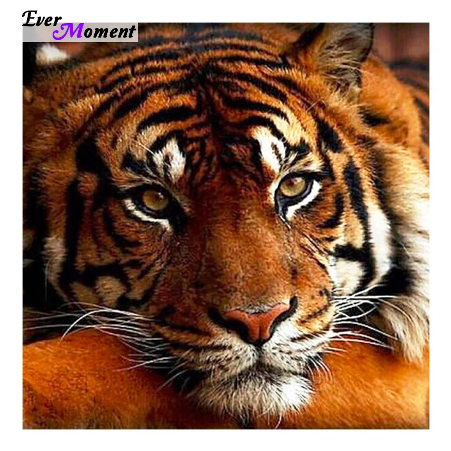 

Full drill diamond cross stitch 5D diamond embroidery square diamond sets decorative diy diamond painting ASF441