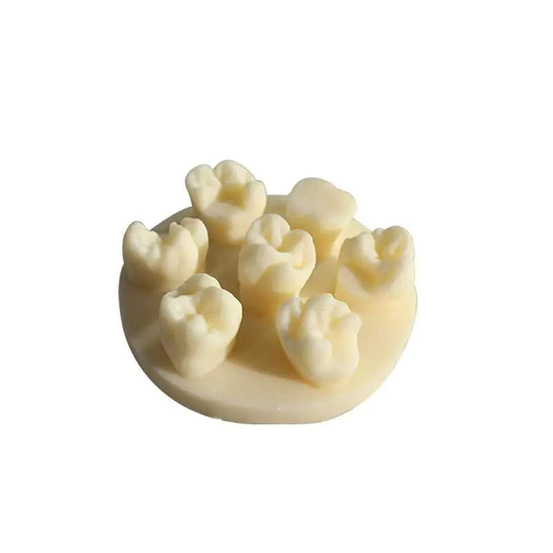 Tooth Morphology Resin Model Root Canal Filling Inlay Module Dental Teaching Training Tool