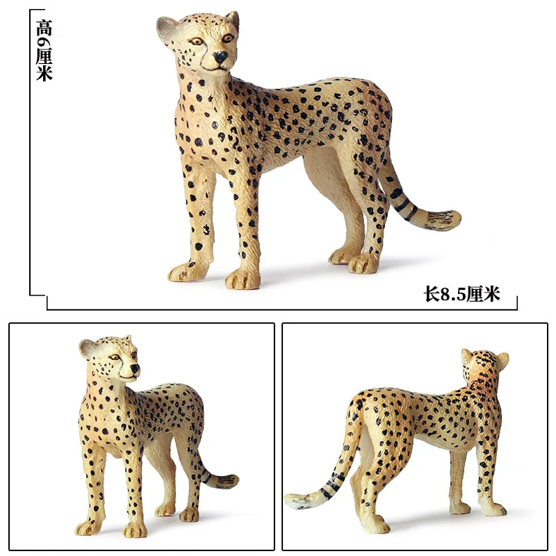 Wildlife Model Children Toys Animal Growth Cycle Jaguars Cheetahs African Leopard Bull Panda Hippo Elephant Ornament Set Figures