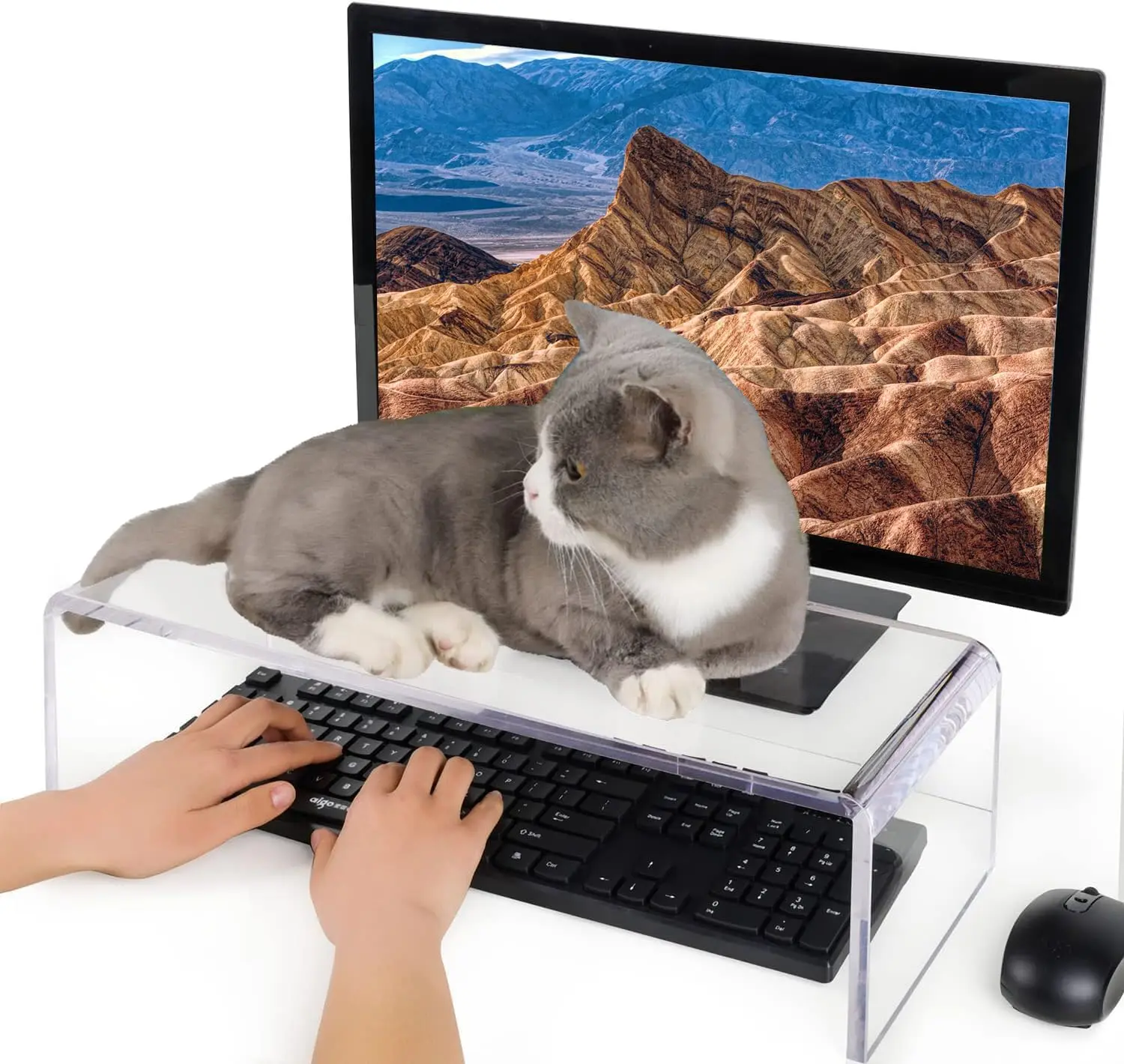 

Clear Anti-Cat Keyboard Cover with Acrylic Stand, Protects Laptop from Pets, 20-inch Size