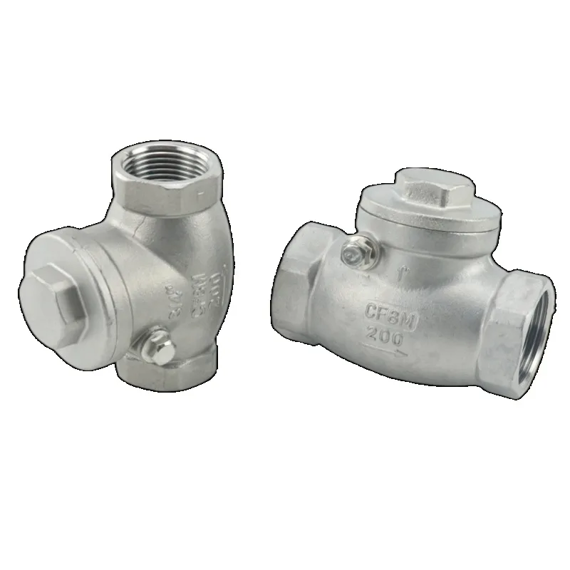 Stainless Steel 304 Horizontal Check Valve Female Thread Non-return Valve for Water Oil Gas