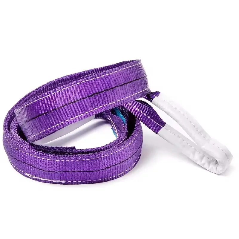 1 ton liftging webbing sling eye and eye Flat lifting sling 10 Meter