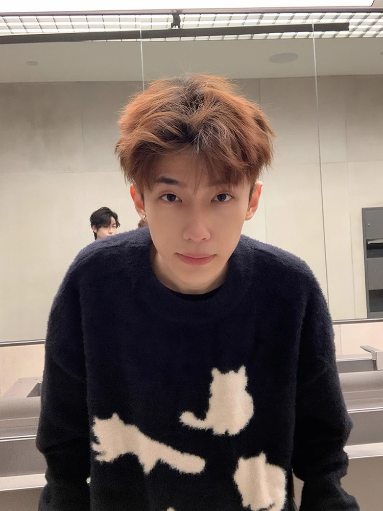 American sle cabelo pesado malha padrão camisola masculina outono inverno lazer sle high end sentimento malha irt