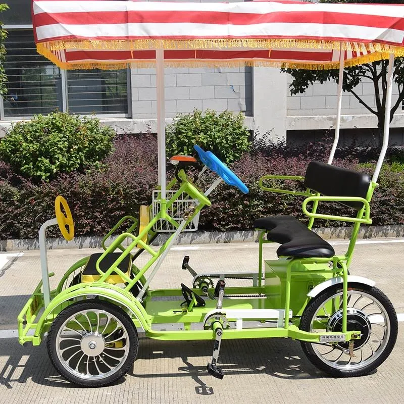 

Wheel Motor Electric Double Triple Quad Travel Sightseeing Bicycle Quad Electric Vehicle