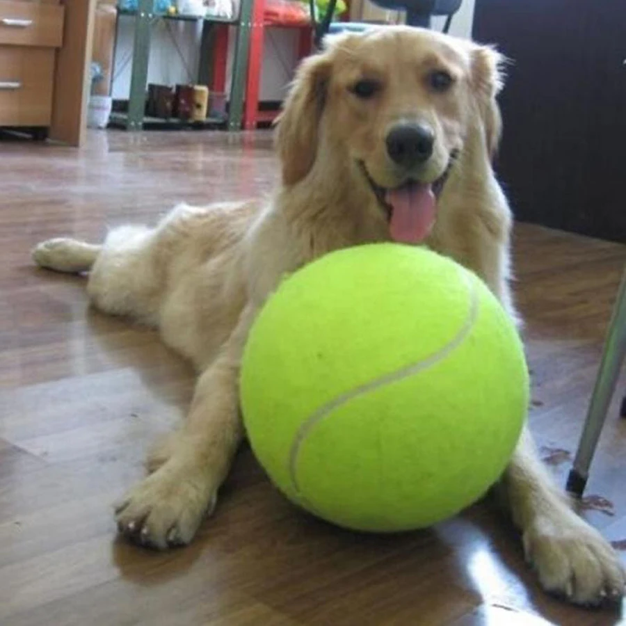 9.5inch Inflatable Giant Tennis Ball for Pets Dog Chew Toy Interactive and Playtime Toys - Image 2
