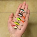 5pcs
