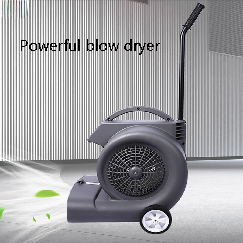 

BF533 High-power blower household floor hair dryer bathroom floor dehumidification carpet drying and blowing machine