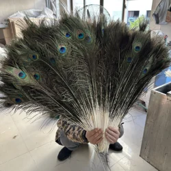 10/20/50pcs Natural Peacock Feathers 25-30cm 30-35cm 40-45cm for Crafts Jewelry-Making Pluma-Wedding-Home Hotel Centerpiece