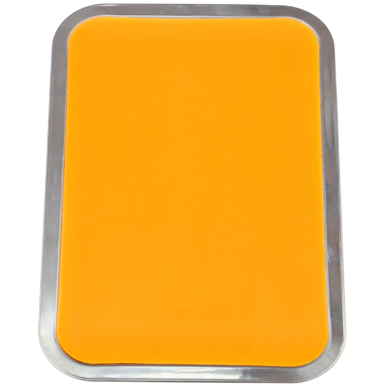 

1Set Stainless Steel Dissection Tray Wax Base Lab Tray for Anatomy Paper Cutting Dissecting Operations Dissecting Pan